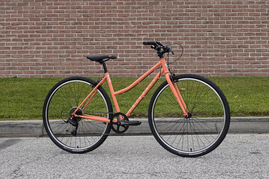 FAIRDALE Lookfar Step-through - Matte Coral - SML/MED
