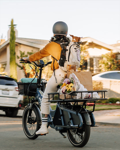 Aventon Abound Cargo E-bike