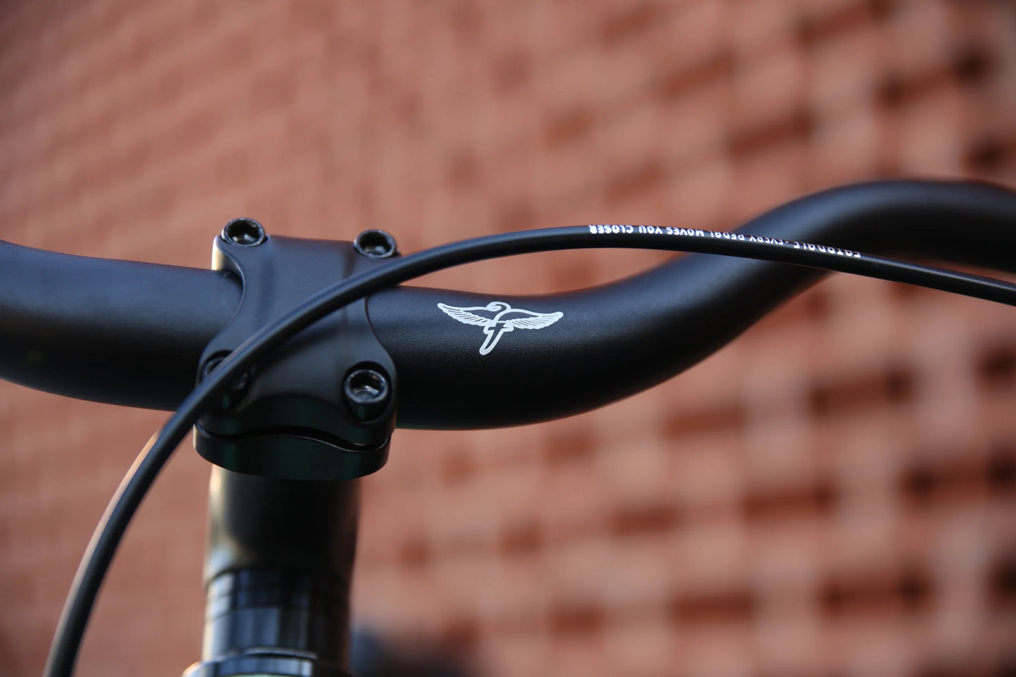Close-up of Fairdale  bicycle handlebar 