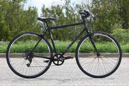 Fairdale Lookfar frame and commuter geometry
